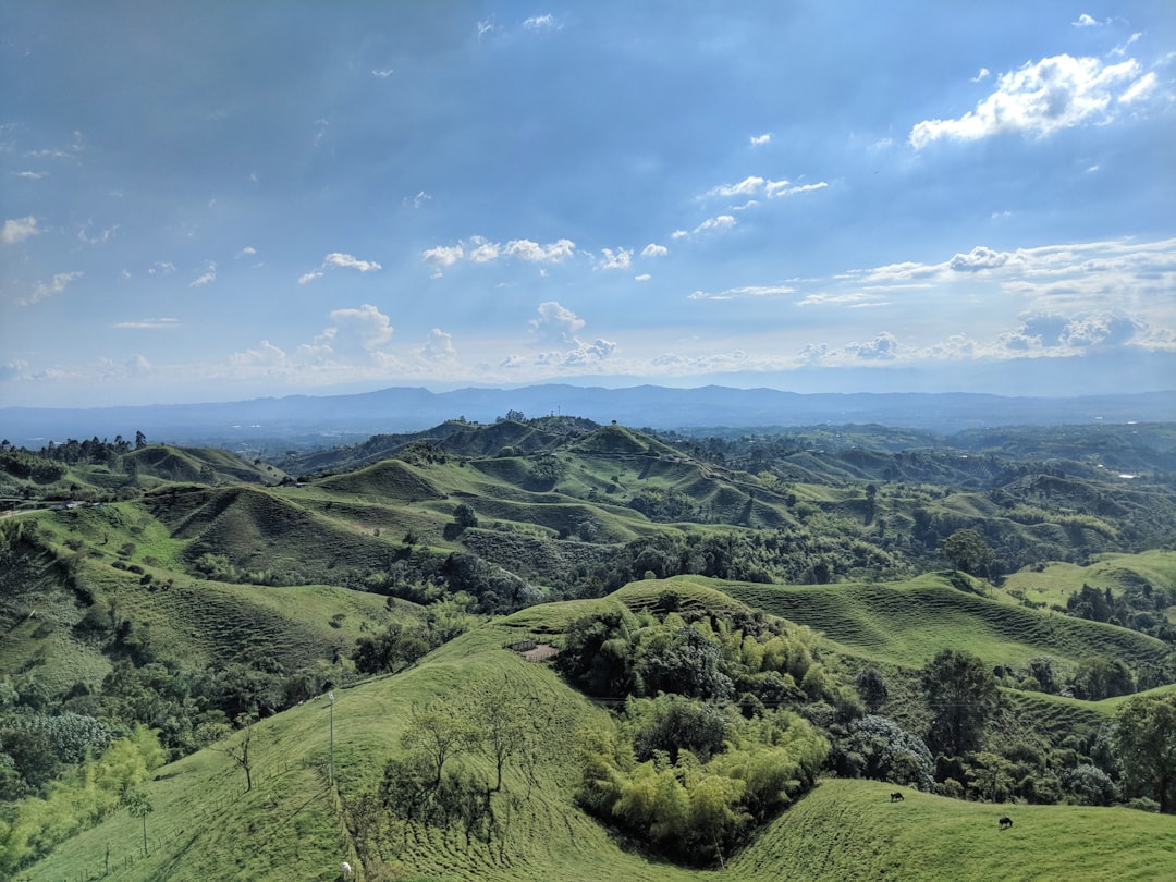Hill photo spot Quimbaya - Filandia Valle Del Cocora