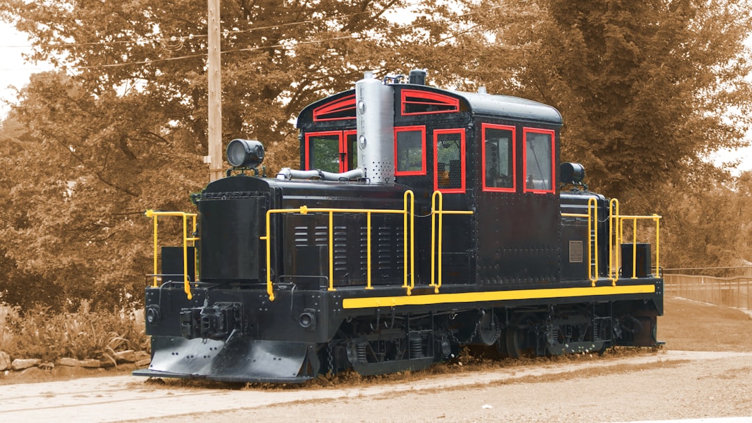black train, Positionnée près du parc de la confédération de Gananoque