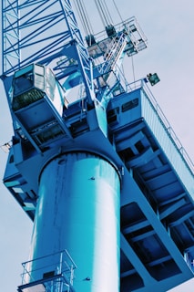 blue crane during daytime