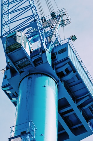 blue crane during daytime