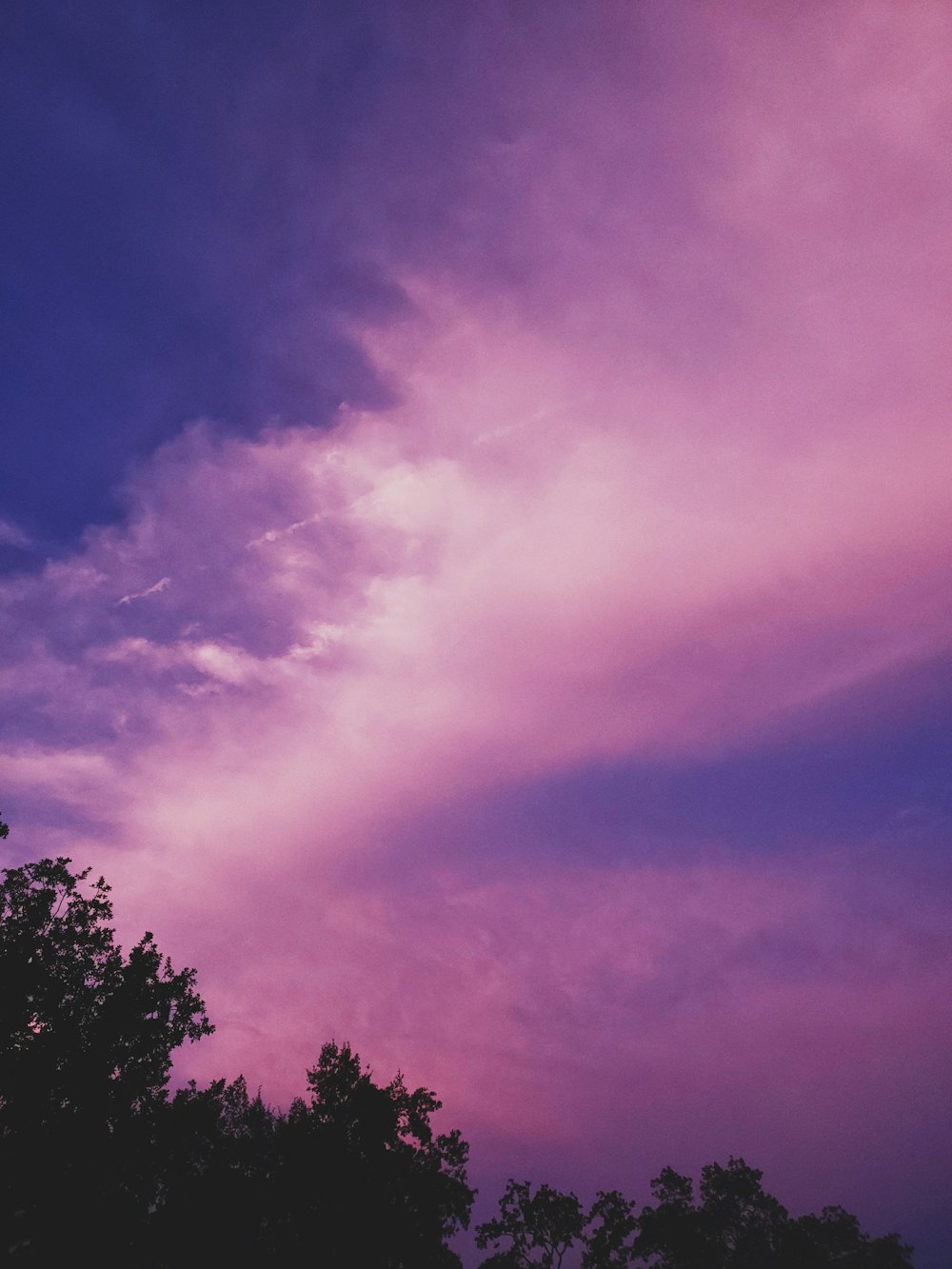 purple sky