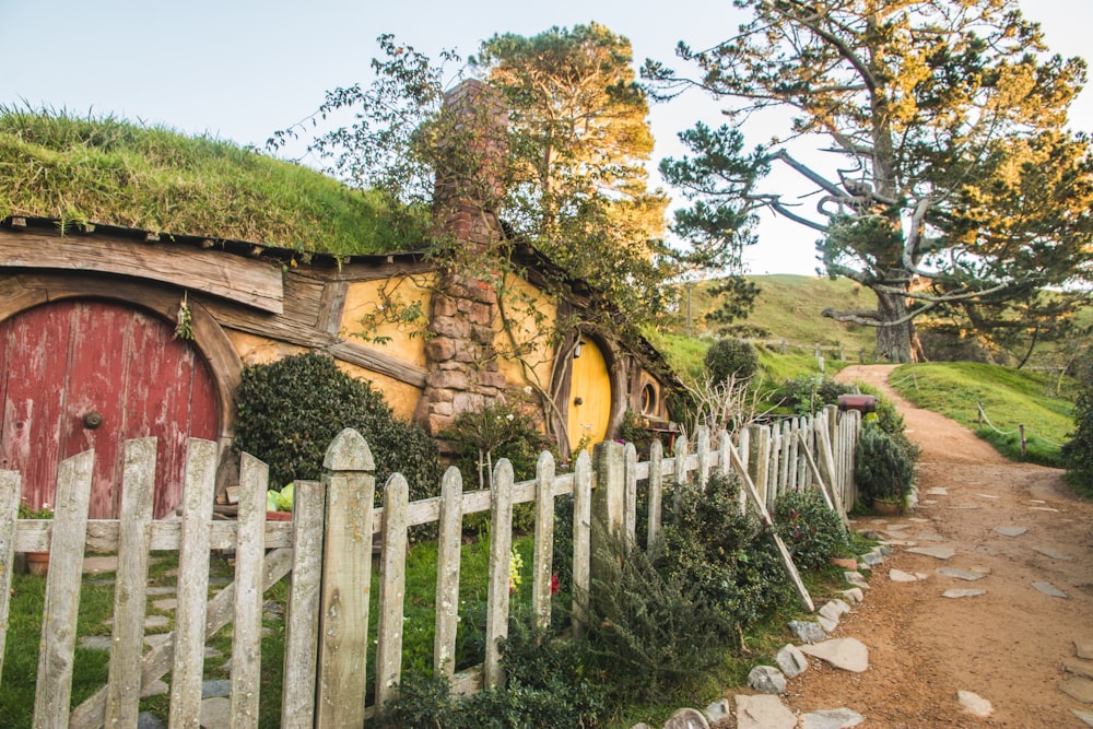 green trees beside yellow house