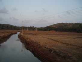 A rural landscape with a narrow water channel running alongside fields. Utility poles with wires stretch across the scene, and a group of trees lines the horizon. A small hill with greenery rises in the background under a partly cloudy sky.