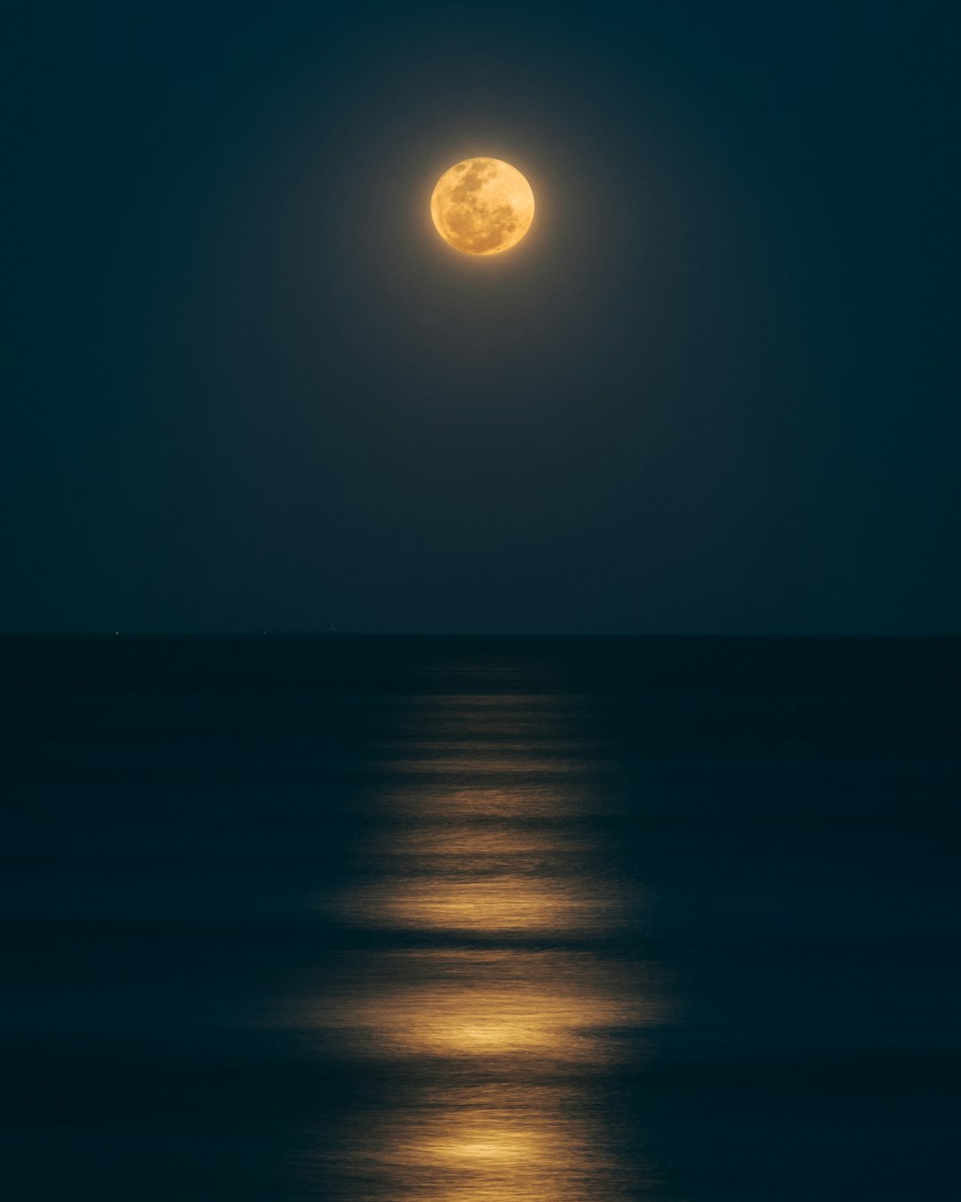 unnamed image