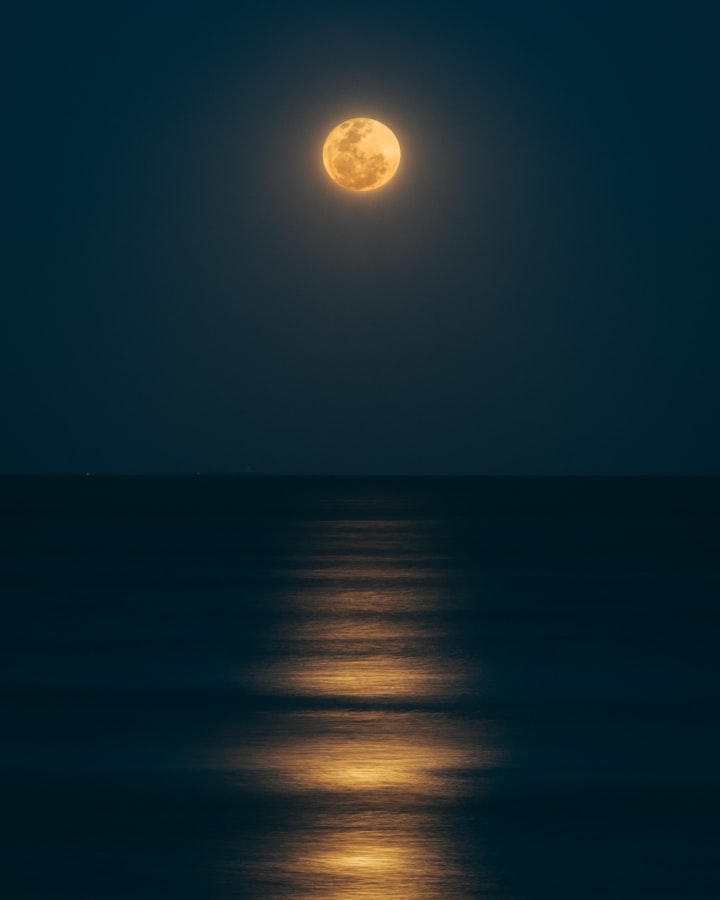 The Ravishing Moonlight