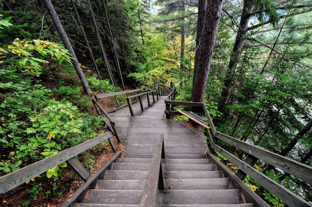 brown stair beside trees