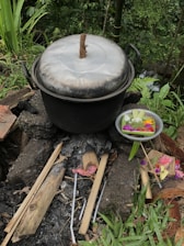 A large metal pot with a wooden handle is resting on a traditional outdoor cook stove made of stones and wood. Surrounding the pot is a lush green environment with various plants and bamboo. A metal tray containing colorful flowers and offerings is placed nearby, adding a hint of cultural or ceremonial context.