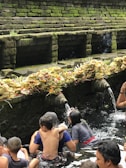 A group of people are engaged in a ritual bath at a sacred water temple. Stone spouts carved into the temple wall are pouring water, and numerous offerings made of palm leaves and flowers are placed on the ledge above the water source. The stone walls are covered with moss, adding a natural green hue to the scene.