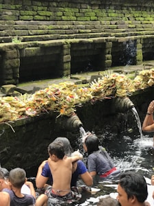 A group of people are engaged in a ritual bath at a sacred water temple. Stone spouts carved into the temple wall are pouring water, and numerous offerings made of palm leaves and flowers are placed on the ledge above the water source. The stone walls are covered with moss, adding a natural green hue to the scene.