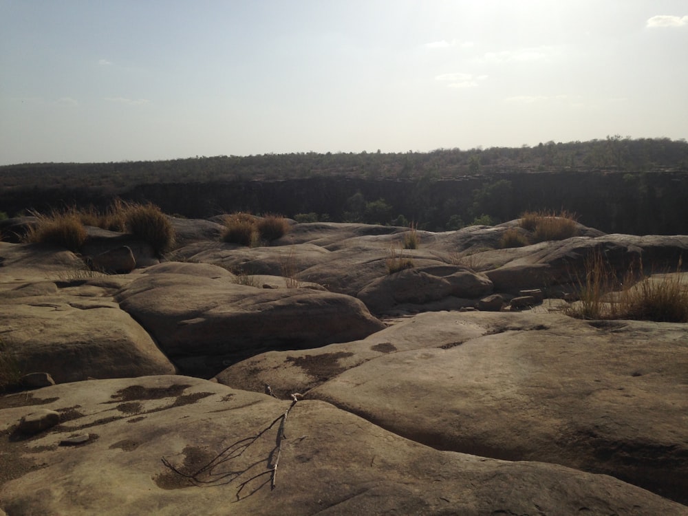 brown rocks across woods