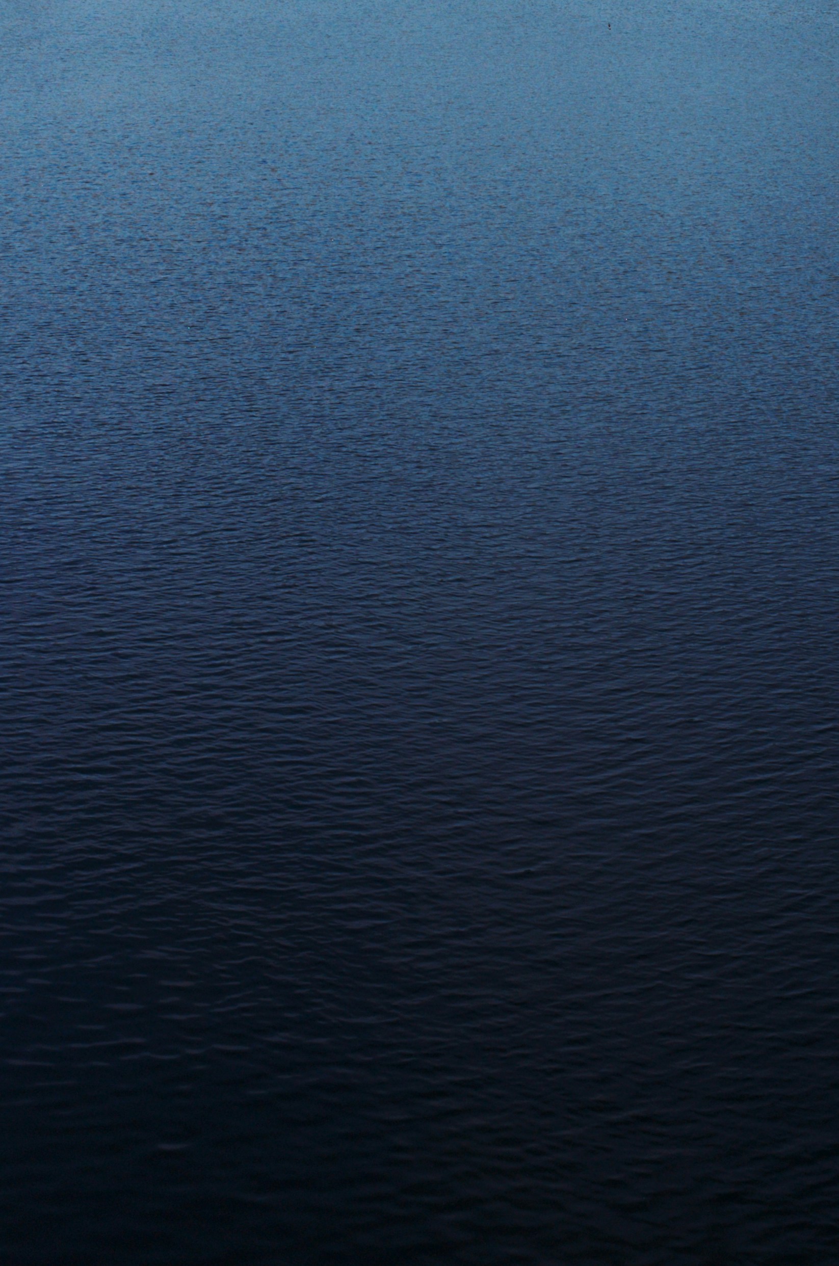 Photo by crossprocess