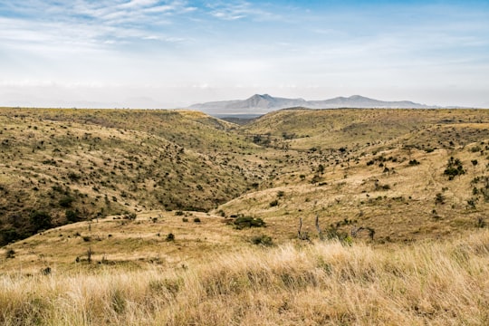 landscape photography in Lewa Wildlife Conservancy Kenya