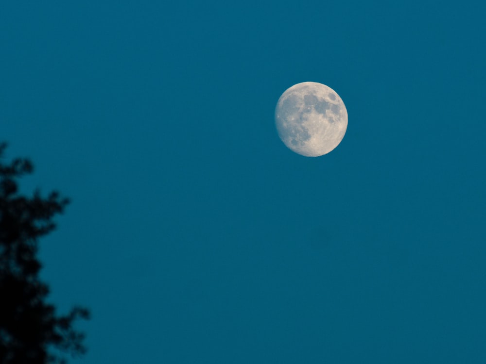 moon at night