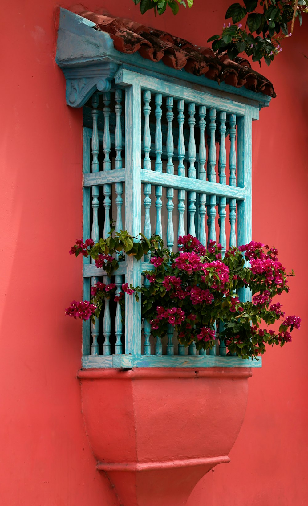 flowers in window