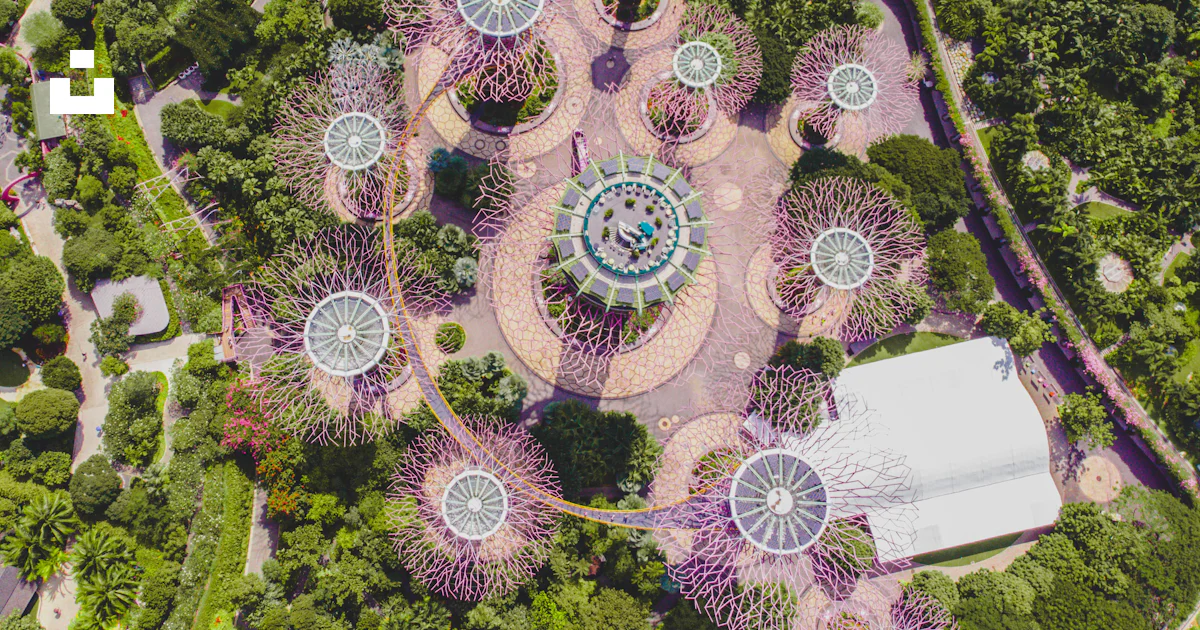 Grooving Trees Super Groove Tree Gardens by the Bay photo β Free Flowers Image on Unsplash