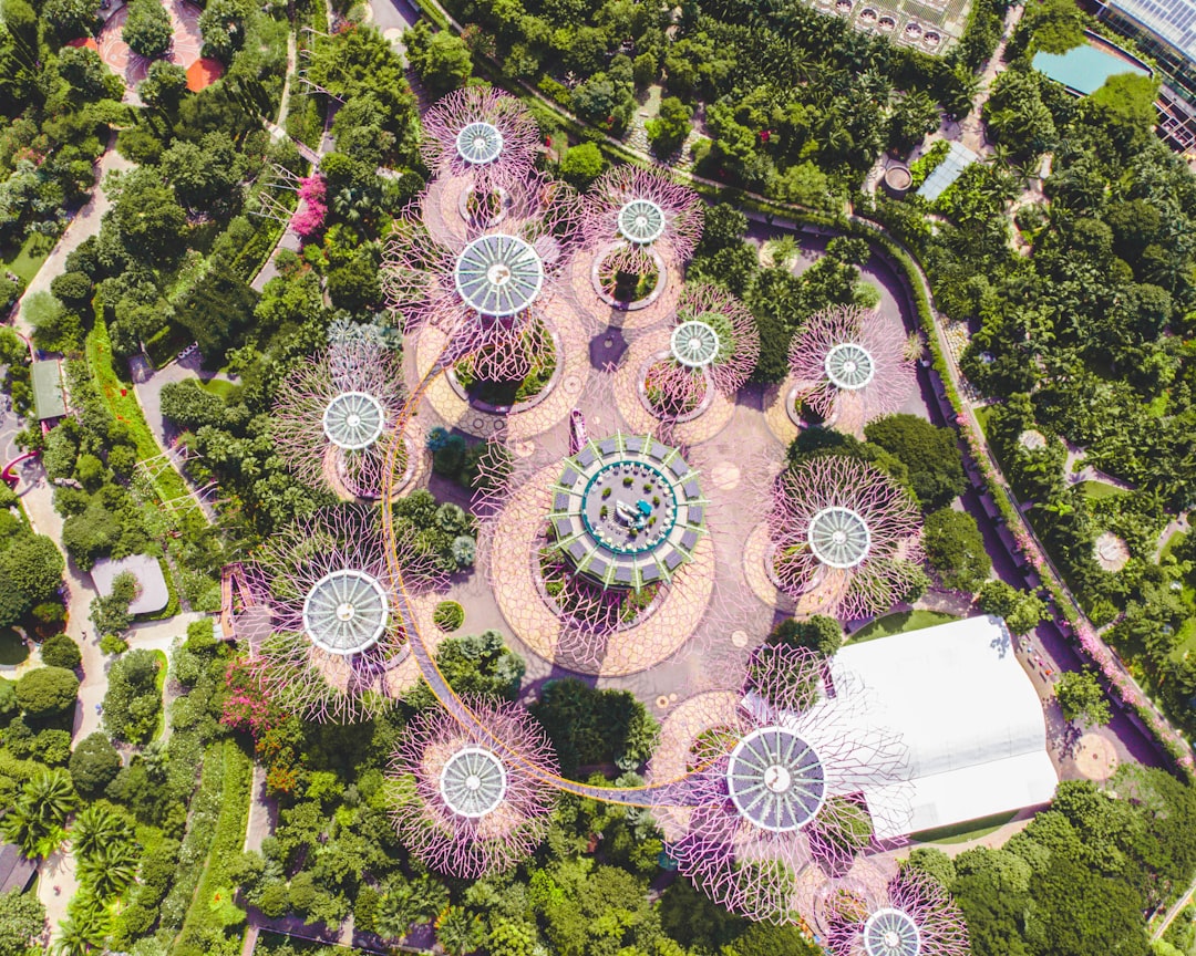 Super Groove Tree Gardens by the Bay, Singapore Gardens By The Bay – Aerial