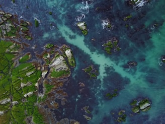 Aerial view of a coastal landscape with vibrant green patches of vegetation on rocky terrain. The clear blue-green ocean water surrounds the rocks, creating a striking contrast between land and sea. Algae and seaweed can be observed on the rocks and in the water.