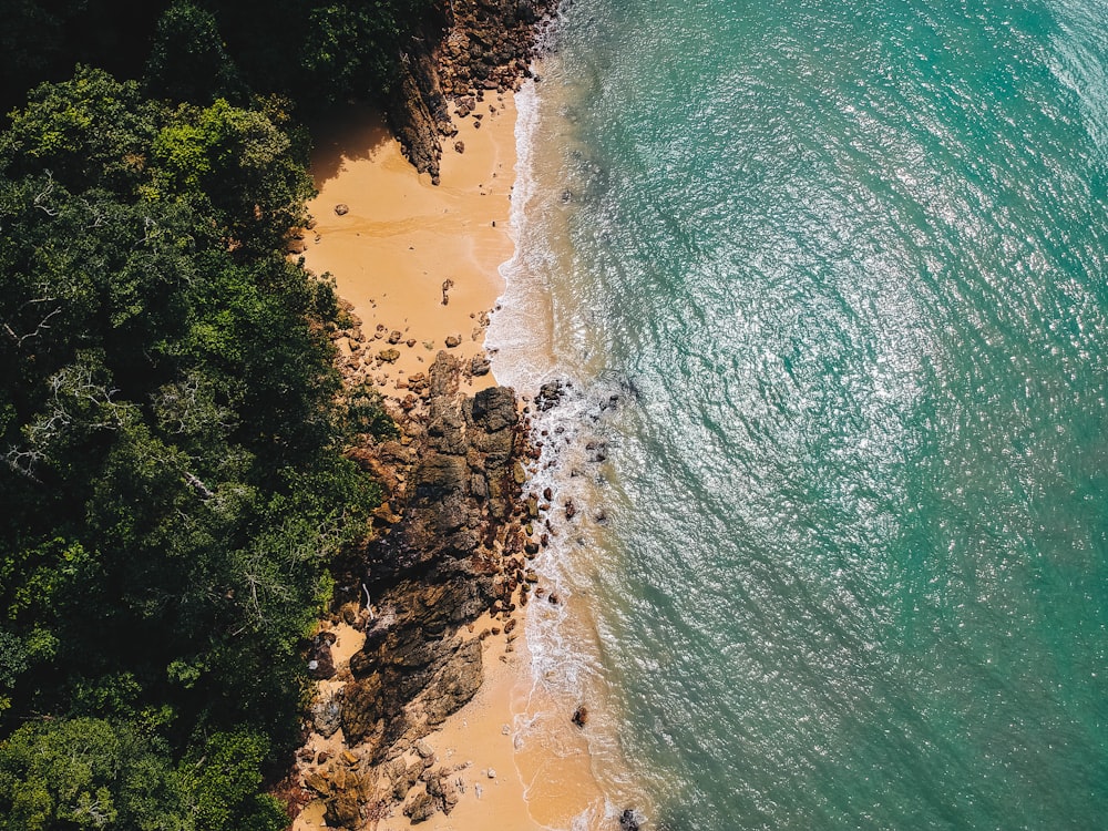 bird's eye view photography of seashore