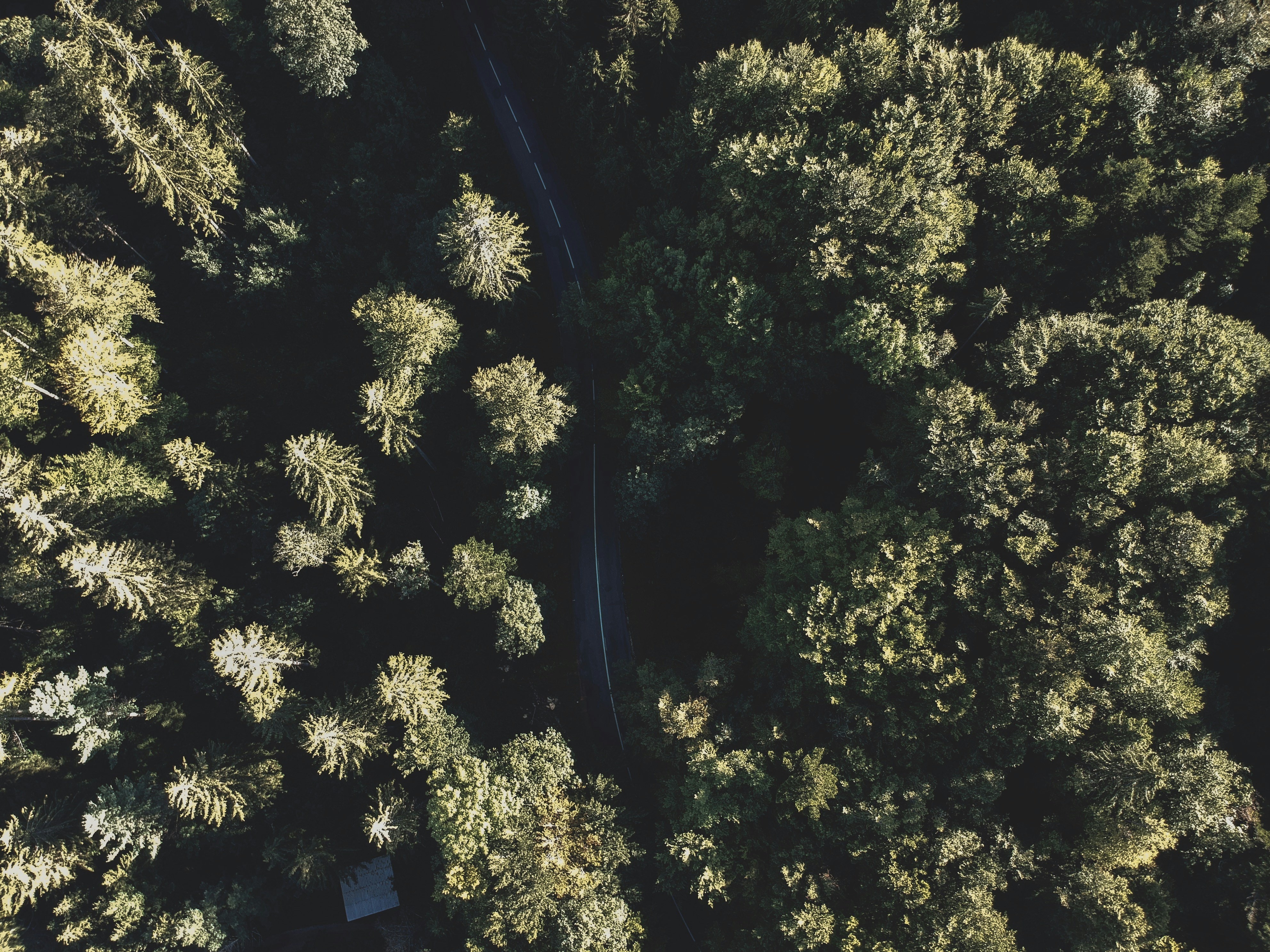 Photo by nathan030997