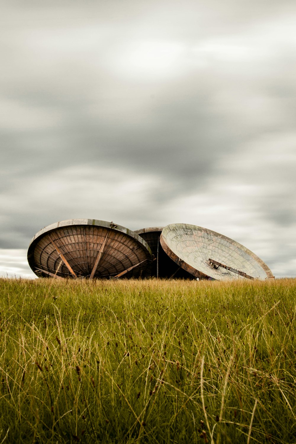 round brown wooden frames on green grass taken at daytime