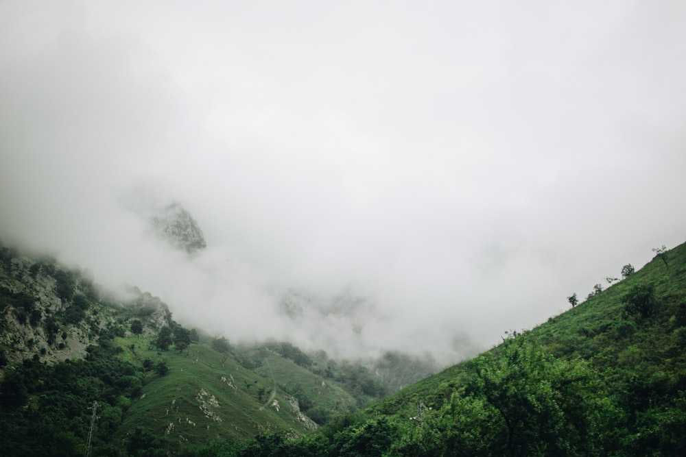 photo of green valley under cloudy sky