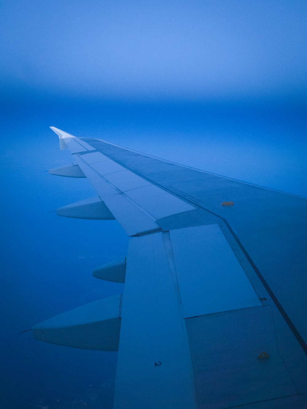 panel wing on clouds