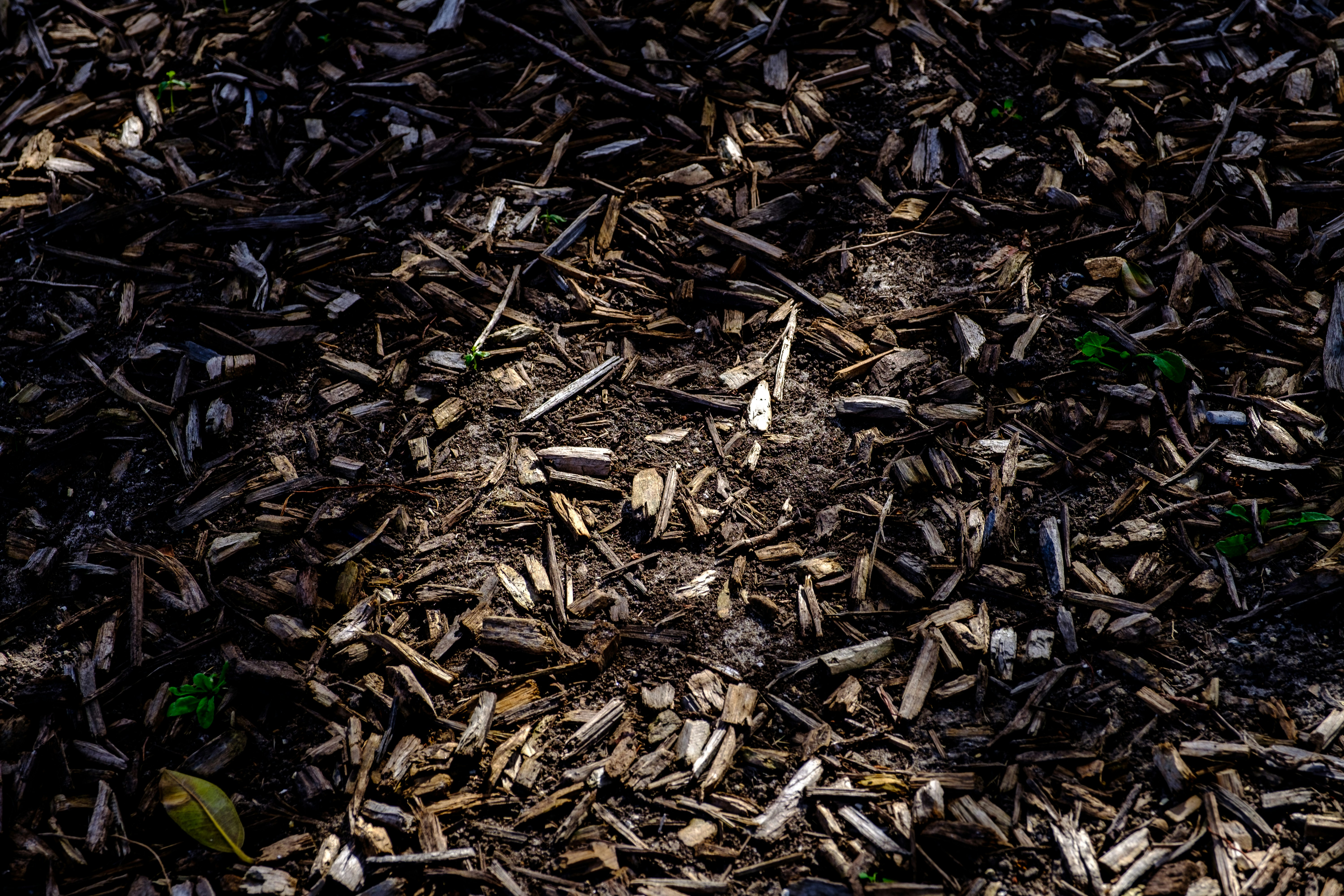 Black Mulch