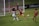 A soccer match with players in action near the goalpost. One player in a white uniform is attempting to control the ball while two players in red and black uniforms are defending. The goalkeeper, also in a dark uniform, is on alert close to the net. The field is well-lit, and banners such as 'NWSL' are visible in the background.