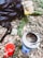 A camping setup in a forested area with a backpack, a rolled sleeping bag, a portable stove with boiling contents, and a red mug placed on the forest floor among autumn leaves and greenery.