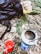 A camping setup in a forested area with a backpack, a rolled sleeping bag, a portable stove with boiling contents, and a red mug placed on the forest floor among autumn leaves and greenery.