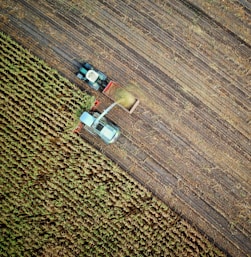 two trucks on plant field