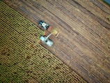 two trucks on plant field