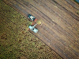 two trucks on plant field