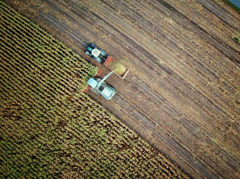 two trucks on plant field