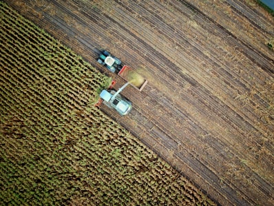 two trucks on plant field