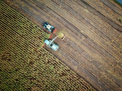 two trucks on plant field