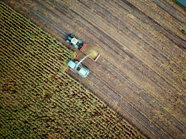 two trucks on plant field
