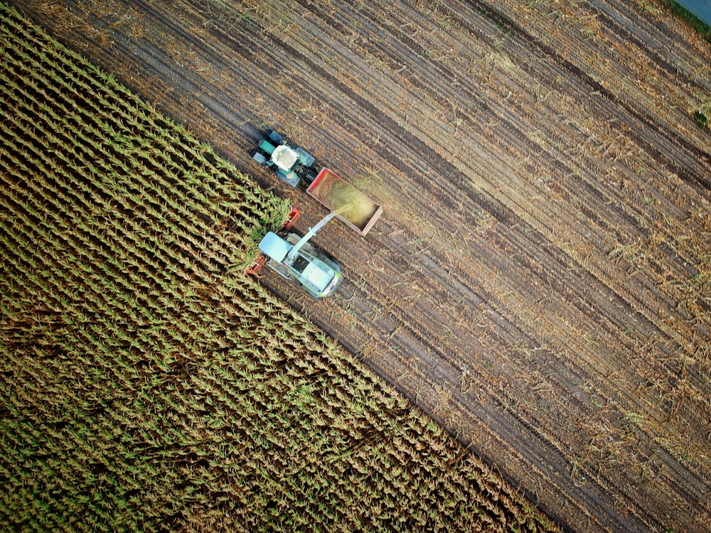 two trucks on plant field