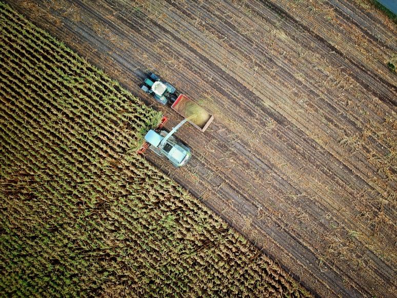 'Agriculture' Photo by no one cares on Unsplash