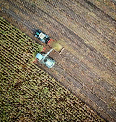 two trucks on plant field