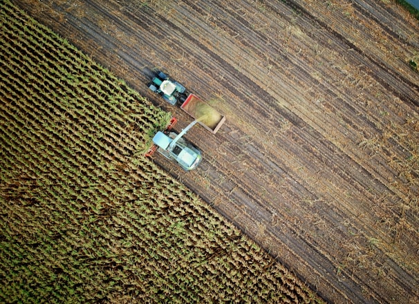 two trucks on plant field