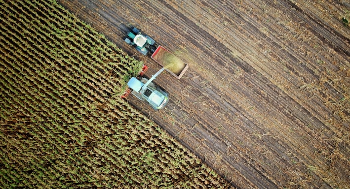 two trucks on plant field