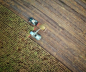 two trucks on plant field