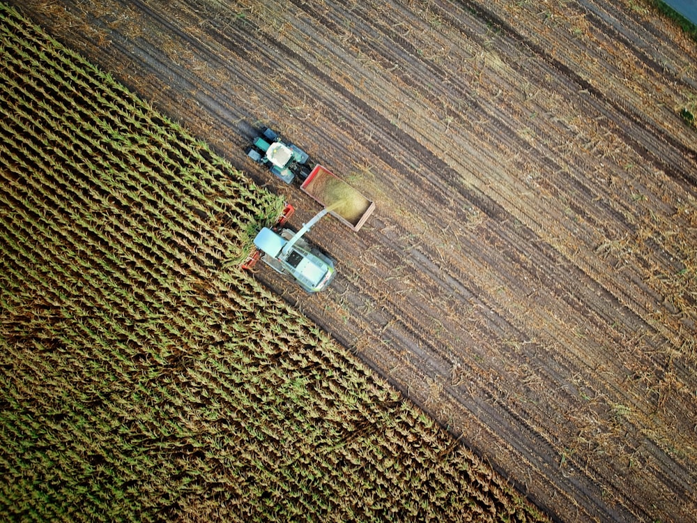 dois caminhões no campo da planta
