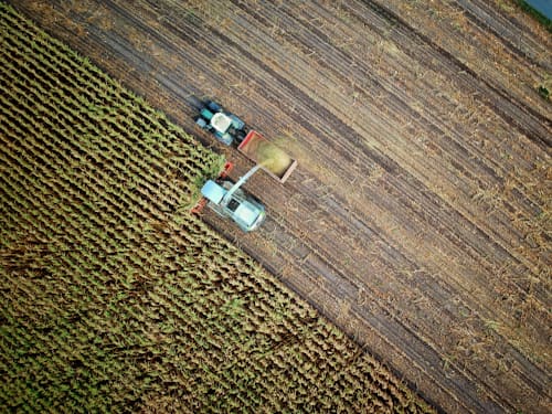 Landbouw
