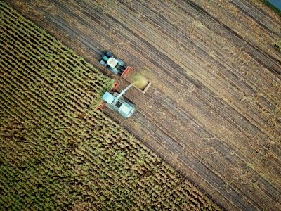 Agriculture