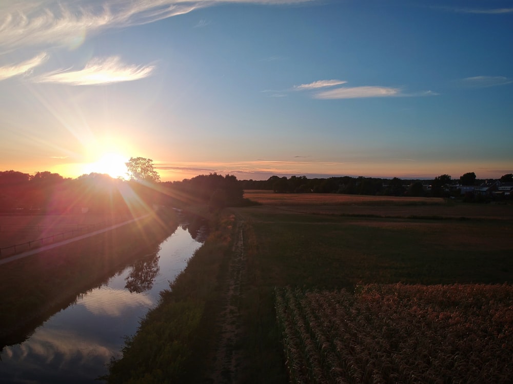 campo di grano durante l'ora d'oro