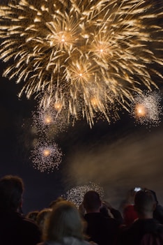 people watching fireworks at nighttime