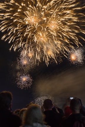 people watching fireworks at nighttime
