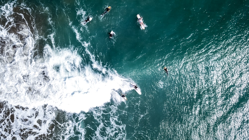 white personal watercraft